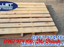 Đâu là địa chỉ bán pallet Bình Dương chất lượng, giá rẻ?