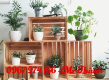 Công dụng pallet Bình Dương giá rẻ
